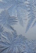 Обложка книги "Морозец"