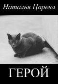 Обложка книги "Герой"