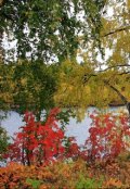 Обложка книги "Русь"