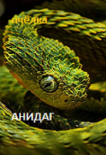Обложка книги "Анидаг"