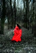 Обложка книги "Обратная сторона сказок. Красная шапочка"