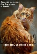 Обложка книги "Василий - один день из жизни кота"