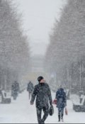 Обложка книги "Полимеры"