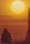 Обложка книги "Горячее солнце"