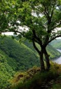 Обложка книги "Принуждённое замужество 2"