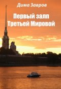 Обложка книги "Первый залп Третьей Мировой"