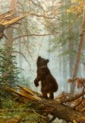 Обложка книги "Еловый венец"