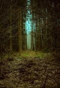 Обложка книги "Кабаний Бог"