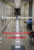 Обложка книги "Небольшой сбой в программе"