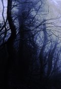 Обложка книги "Мотылёк"