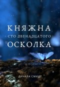 Обложка книги "Княжна Сто Двенадцатого Осколка"