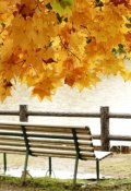 Обложка книги "Разговор в парке."