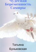 Обложка книги "Чудесная Беременность Самиры"
