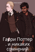 Обложка книги "Гарри Поттер, и никаких сомнений"