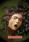 Обложка книги " Анатомия  Лабиринта "