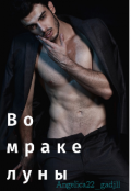 Обложка книги "Во мраке луны"