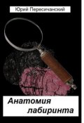 Обложка книги "Анатомия лабиринта"