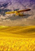 Обложка книги "Чёрная пятница"