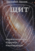 Обложка книги "Щит"