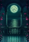 Обложка книги "Сказка о тайной любви"