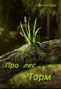 Обложка книги "Про лес Торм"