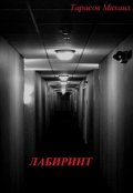 Обложка книги "Лабиринт"