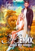 Обложка книги "Жених, найди мне жениха"