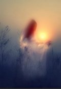 Обложка книги "К свету"