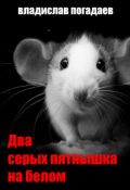 Обложка книги "Два серых пятнышка на белом"