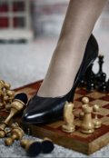 Обложка книги "Шахматная партия."
