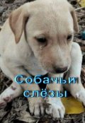 Обложка книги "Собачьи слёзы"