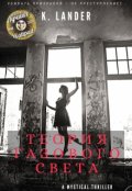 Обложка книги "Теория газового света"