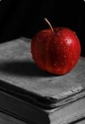 Обложка книги "Искушение"