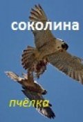 Обложка книги "Соколина(сказ 6-й)"