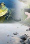 Обложка книги "Занесла нелегкая лейтенанта Лёгкого"