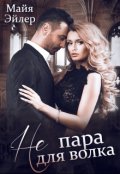 Обложка книги "Не пара для волка"