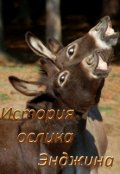 Обложка книги "История ослика Энджина"
