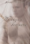Обложка книги "Тайная встреча - серия Хадсоны (книга 3)"