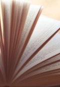 Обложка книги "Старая мясорубка"