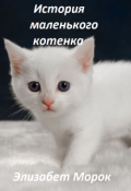 Обложка книги "История маленького котенка"