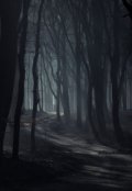 Обложка книги "Правые и левые"