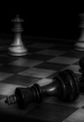 Обложка книги "Свобода "короля"."
