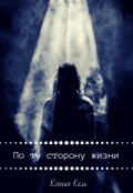 Обложка книги "По ту сторону жизни"