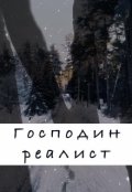 Обложка книги "Господин Реалист"