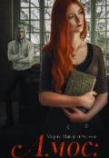 Обложка книги "Амос: Тайна Видящих "