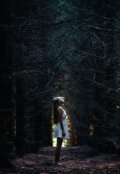 Обложка книги "Жертва"