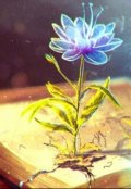 Обложка книги "Эмоциональная Жадность или Мнимый &laquo;кредит Доверия&raquo;."