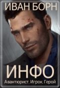 Обложка книги "Инфо. Авантюрист, игрок, герой"