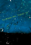 Обложка книги "Ты нужна мне, только ты"