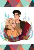 Обложка книги "Спелись-таки..."